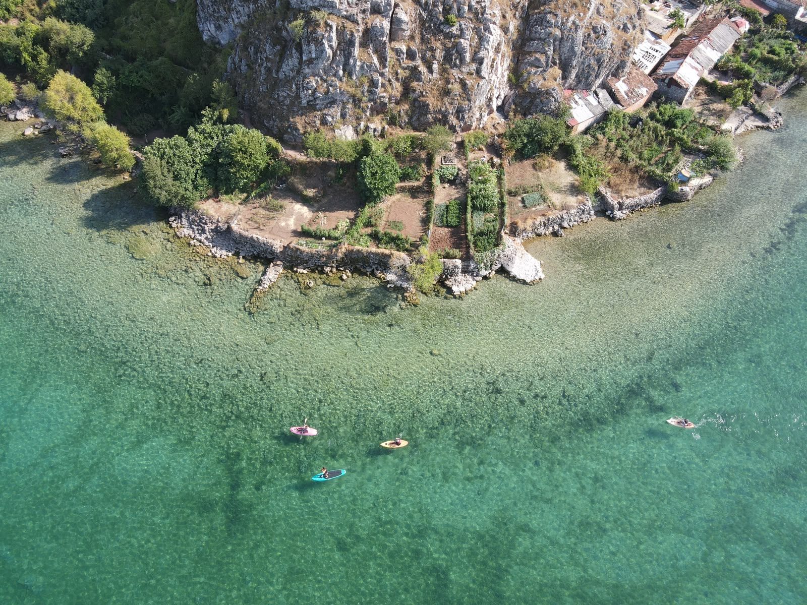 Kajak & Stand-Up Paddle