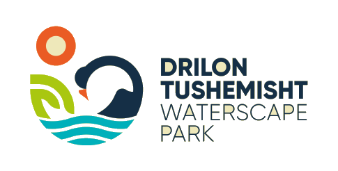 Drilon Tushemisht Waterscape Park